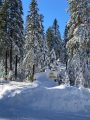Lingering Mountain Snow Prompts Forest Seasonal Road Closure Extensions