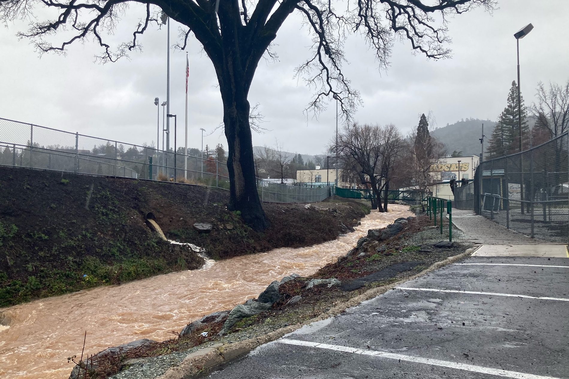 High Creek at Sonora High School photo by Sabrina Biehl 3/12/23