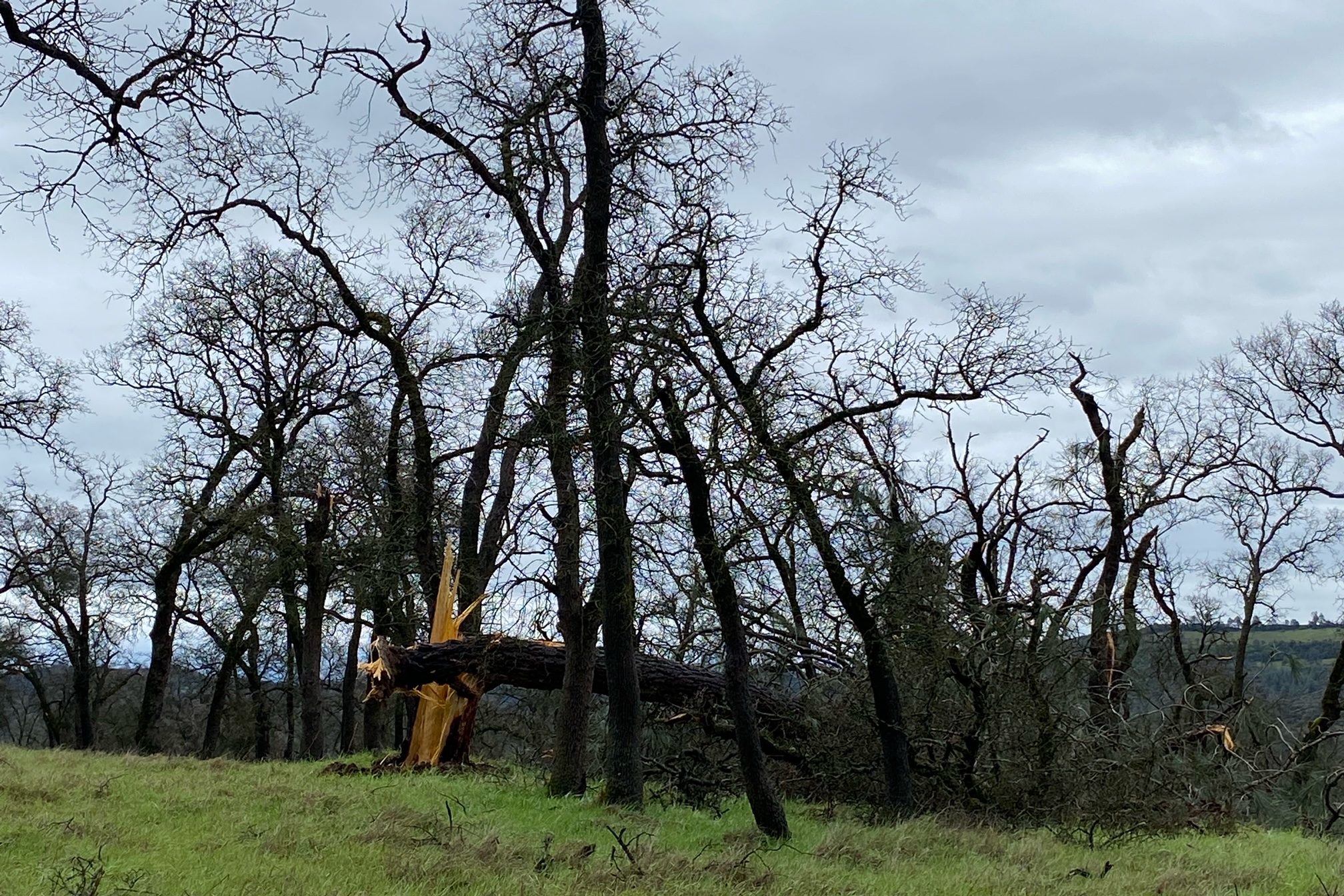 tornado pano near Peoria Ridge Trailhead