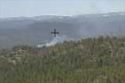 Fire On Forest
