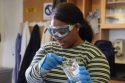 Find Out How To Get A State Job