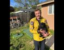 Firefighters Rescue Pug In Calaveras County Firefighters Rescue Pug In Calaveras County