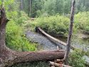 Yosemite Calls For Recreating Responsibly In Open Areas