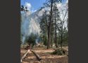Pile Burning Continues In Yosemite