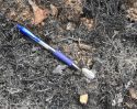 Cause Of Victoria Fire Near Jamestown Determined