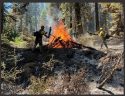 Wrapping Up Bone Fire Response