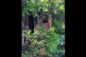 Squirrels: Neighbors in Need Squirrels: Neighbors in Need