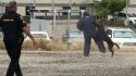 Calaveras County Volunteer Unit Witnesses Impressive K9 Demonstration