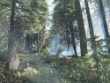 Three Acre &lsquo;Quarry Fire&rsquo; Burns In Stanislaus National Forest