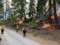 Quarry Fire Expands To 596 Acres: Hunters Urged To Avoid Area