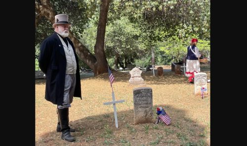 Graveyard Plants - Vimarsana News
