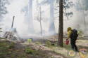 On The Eve Of Halloween, Calaveras Big Trees State Park Will Burn
