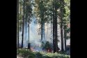 Gradual Growth Of Quarry Fire In Stanislaus National Forest Gradual Growth Of Quarry Fire In Stanislaus National Forest