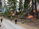 Quarry, And Two Other Fires, Grow In Stanislaus National Forest