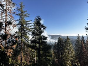 Wildland fire off Highway 108 on the Stanislaus National Forest -- STF photo