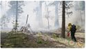 Prescribed Burn At Calaveras Big Trees State Park