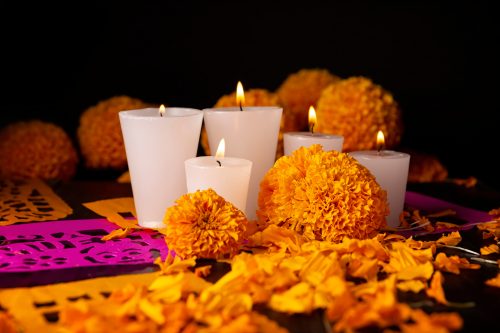Beginning of November Events - Vimarsana News