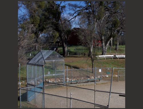 Feeney Park's Future In Question - myMotherLode.com - Vimarsana News