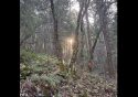 Search Is Ongoing For Missing Hiker In Arnold