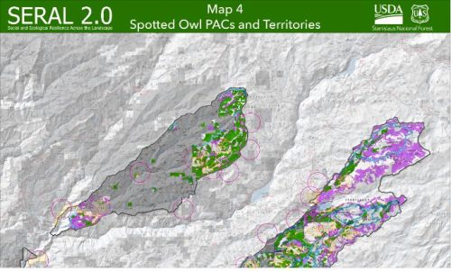 Public Feedback Needed On Forest SERAL 2.0 Project - Vimarsana News