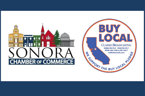 It's Small Business Season: Support Local - myMotherLode.com - Vimarsana News