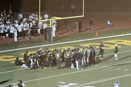 Sonora Wildcats Fall To Bradshaw Christian In Close Game - Vimarsana News