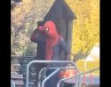 Arrest Made In Twain Harte Spider-Man Investigation