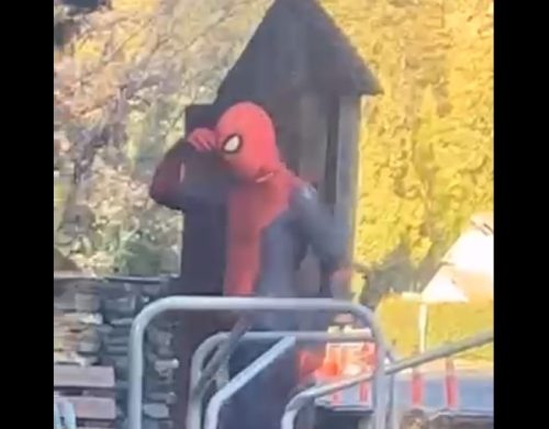 Arrest Made In Twain Harte Spider-Man Investigation - Vimarsana News