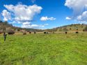 Ranch In Valley Springs Secures Conservation Easement