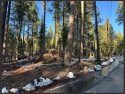 Yosemite Pile Burning Getting Underway In Various Locations