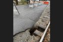 Sinkhole Near Sierra Northern Railway Train Derailment