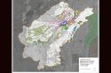 Forest Awarded Over $57 Million For Reducing Fuel Loads