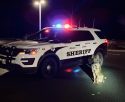 K9 Tracks And Holds Man Accused Of Vehicle Theft In Calaveras County