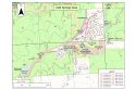 Pile Burning Continues In Forest