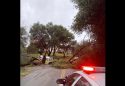 Sunday Traffic Hazards Due To Storm Impacts
