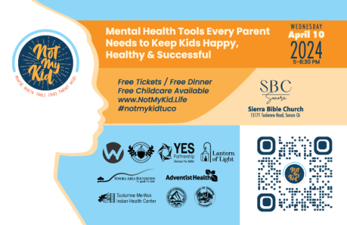 Collaborative Efforts Address Tuolumne County's Youth Mental Health - Vimarsana News