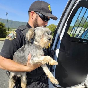 Dog Doobie found by Calaveras County Sheriff's Deputy