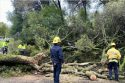 Tuolumne County Fire Incident Report Released