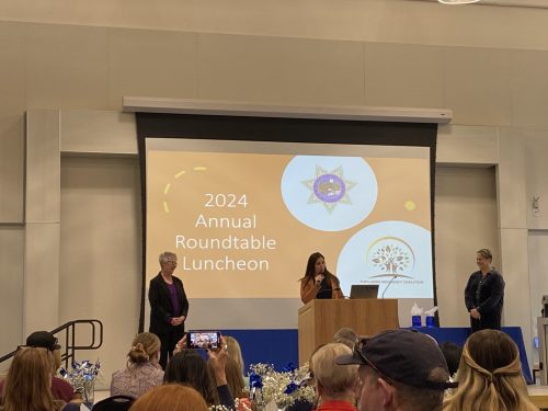 Crime Survivors, Children's Champions, And Outstanding Service Providers Saluted - Vimarsana News