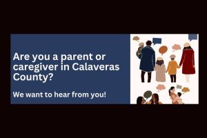 CCPH Parent or caregiver survey