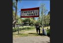 Murphys Plants Seeds To Grow Farmers Market
