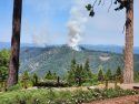 Large Plumes Of Smoke On Forest A Prescribed Burn
