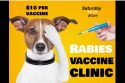 A Chance To Get Low-Cost Healthcare And Licensing For Pets A Chance To Get Low-Cost Healthcare And Licensing For Pets