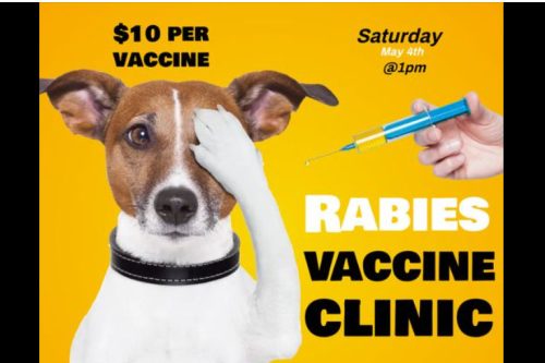A Chance To Get Low-Cost Healthcare And Licensing For Pets