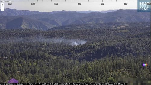 Vegetation Fire Ignites In Groveland - Vimarsana News