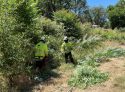 Several Wildfire Prevention Projects Funded In Tuolumne County