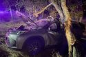 One Person Flown From Valley Springs Crash