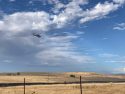 Pair Of Fires Burn 215 Acres In Linden