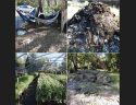 Illegal Marijuana Operation Busted In Railroad Flat