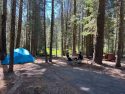 Crane Flat Campground Reopens After $9.8M Renovation